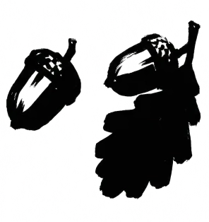 Keim — der Anfang