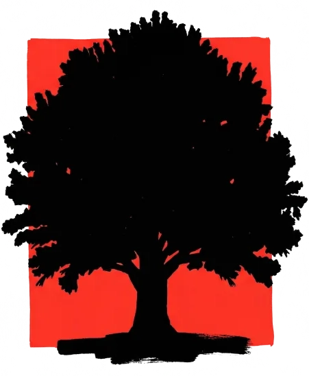Baum — volle Entfaltung